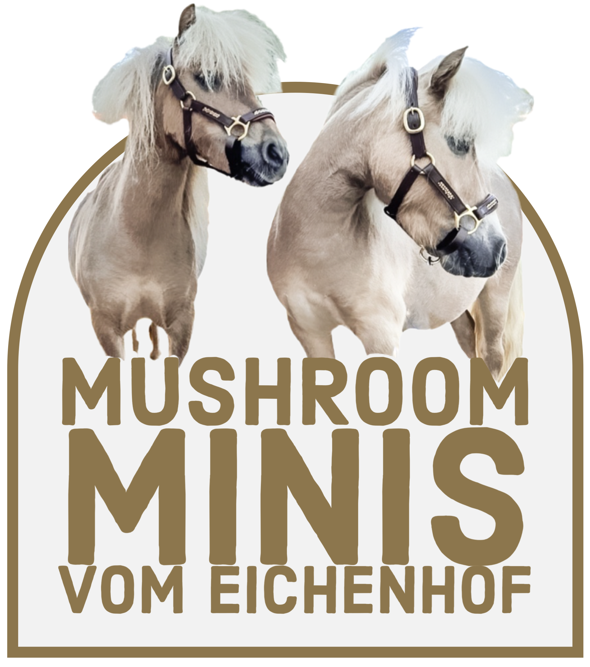 mushroom mini's